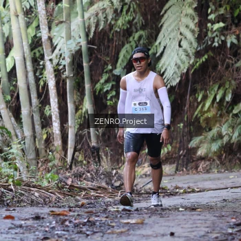 Runner Photo 1431815
