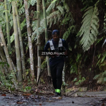 Runner Photo 1432224