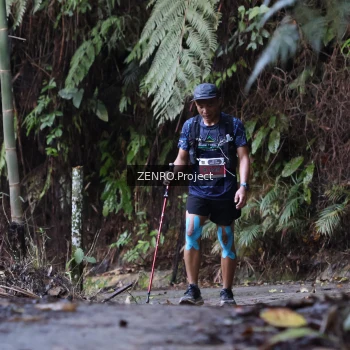 Runner Photo 1432881
