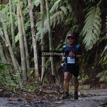 Runner Photo 1432885