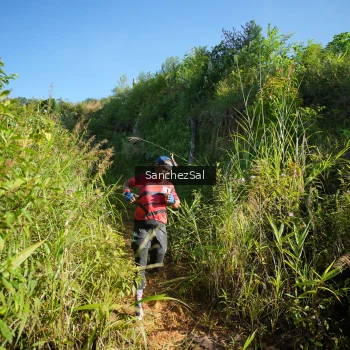 Runner Photo 1433439