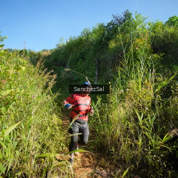 Runner Photo 1433460