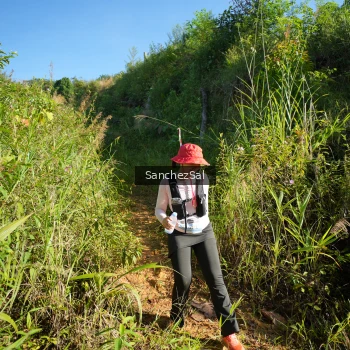 Runner Photo 1433527