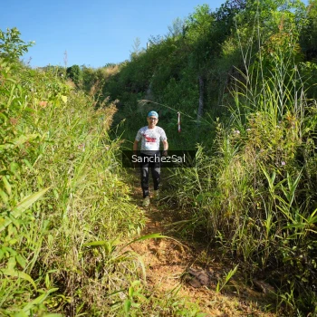 Runner Photo 1433532