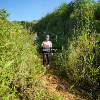 Runner Photo 1433542