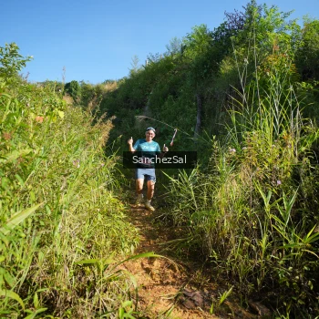 Runner Photo 1433552