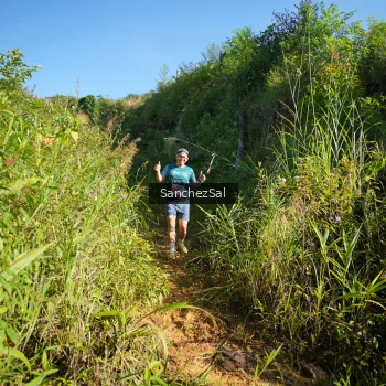 Runner Photo 1433566