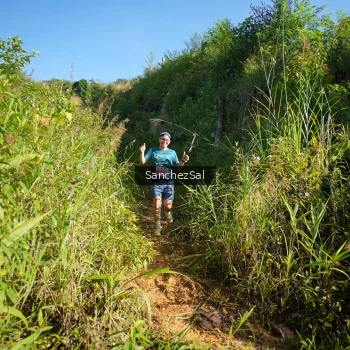 Runner Photo 1433571