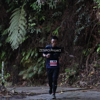 Runner Photo 1433603