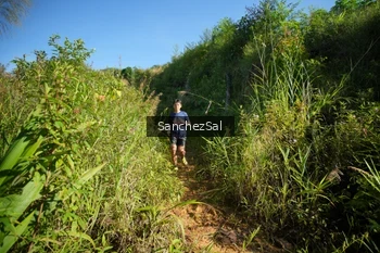 Runner Photo 1433615