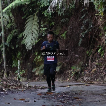 Runner Photo 1433618