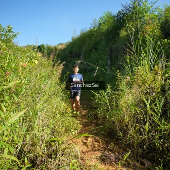 Runner Photo 1433619