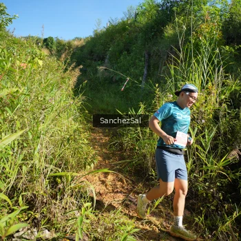 Runner Photo 1433623