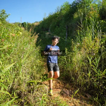 Runner Photo 1433641