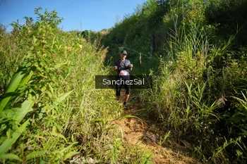 Runner Photo 1433651