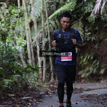 Runner Photo 1433658