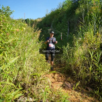 Runner Photo 1433663