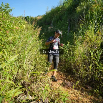 Runner Photo 1433665