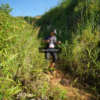 Runner Photo 1433671