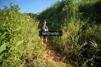 Runner Photo 1433692