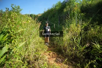 Runner Photo 1433696
