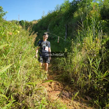 Runner Photo 1433698