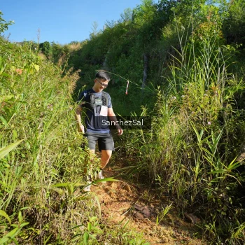 Runner Photo 1433706