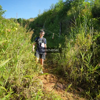 Runner Photo 1433712