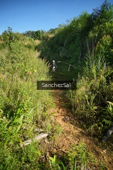 Runner Photo 1433716