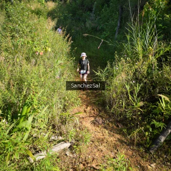 Runner Photo 1433729