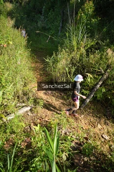 Runner Photo 1433739