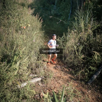 Runner Photo 1433742