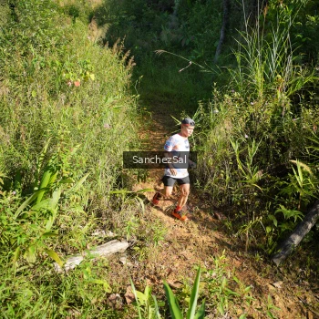 Runner Photo 1433747