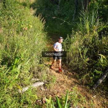 Runner Photo 1433756