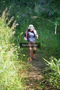 Runner Photo 1433801