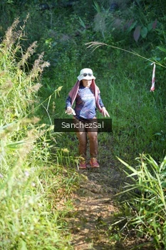 Runner Photo 1433804