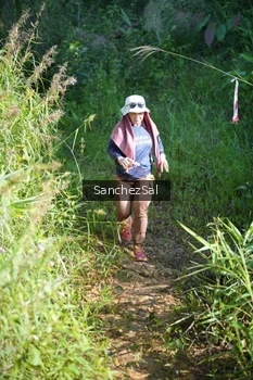 Runner Photo 1433807