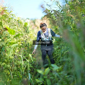 Runner Photo 1433901