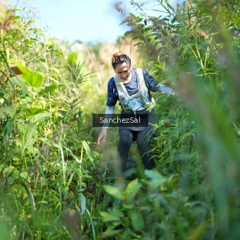 Runner Photo 1433904