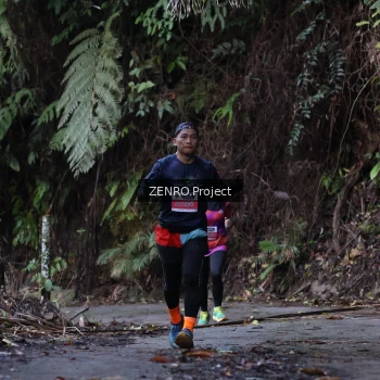 Runner Photo 1433946