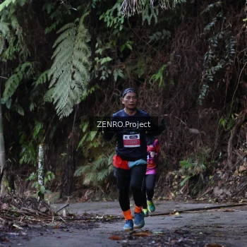 Runner Photo 1433959
