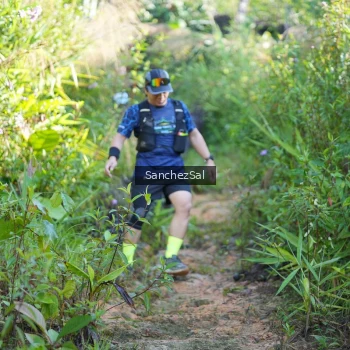 Runner Photo 1434010