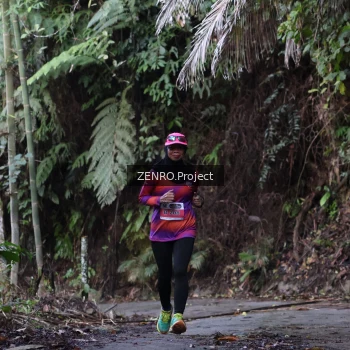 Runner Photo 1434017