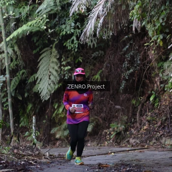 Runner Photo 1434027