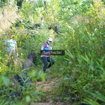 Runner Photo 1434063