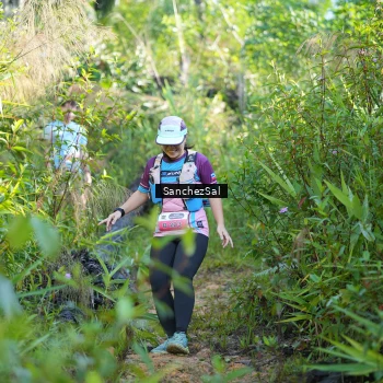 Runner Photo 1434065