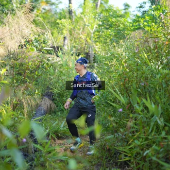 Runner Photo 1434104