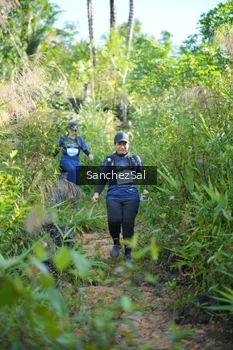 Runner Photo 1434172