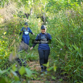 Runner Photo 1434174