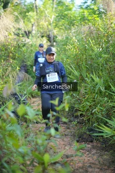 Runner Photo 1434176